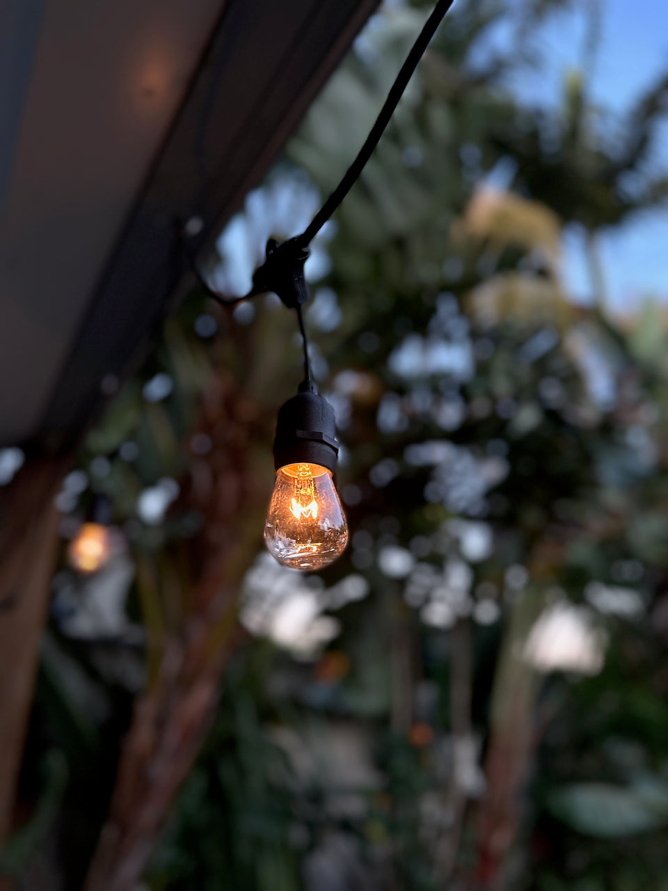Hanging Festoon Lights