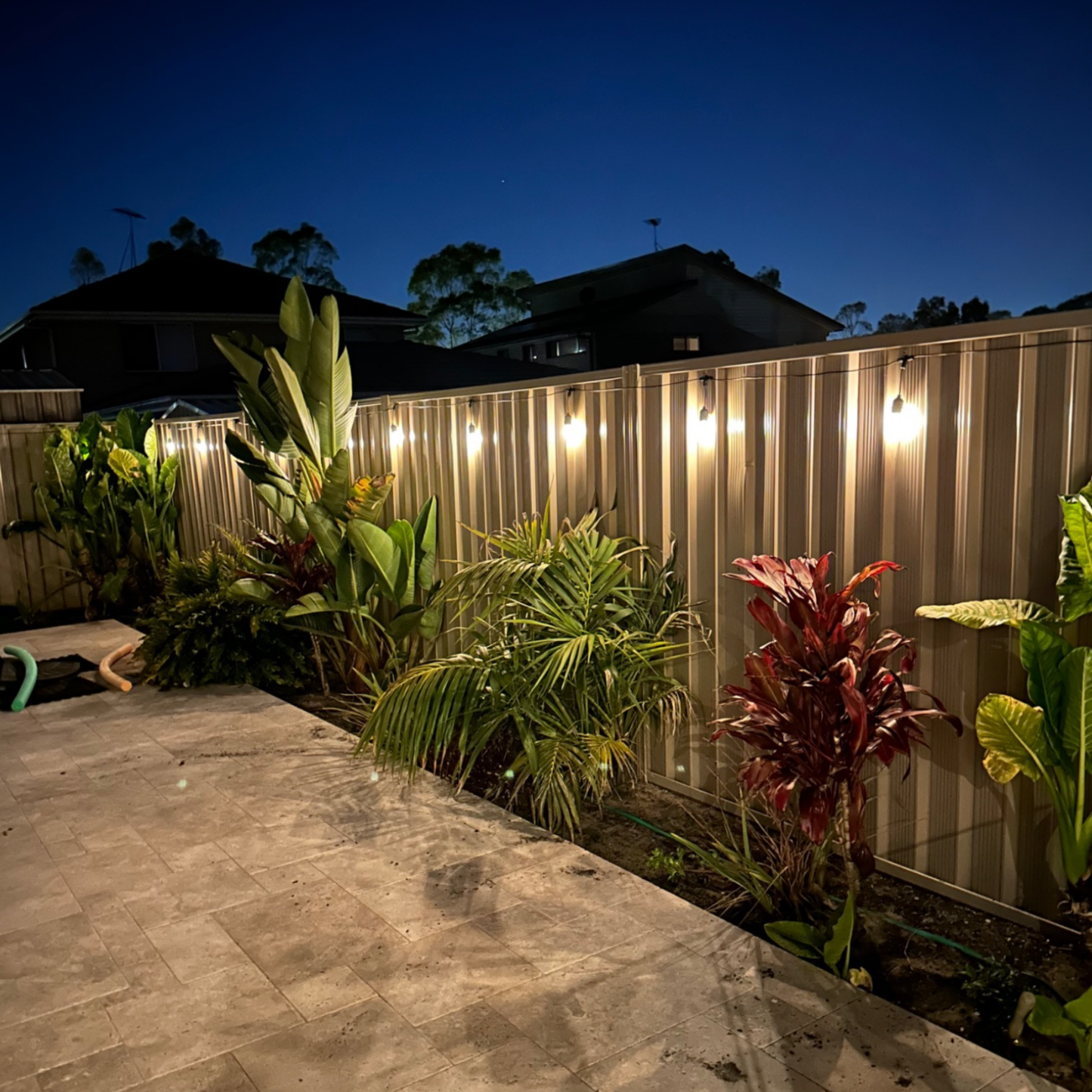 Solar Festoon Lights