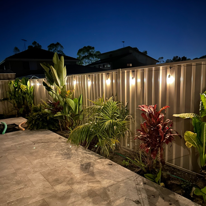 Solar Festoon Lights