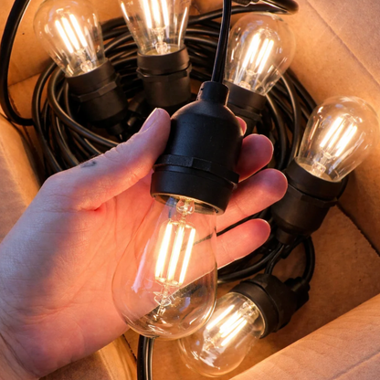 Black Festoon Lights