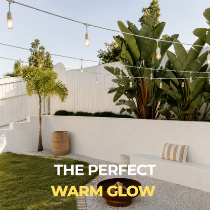White Festoon Lights