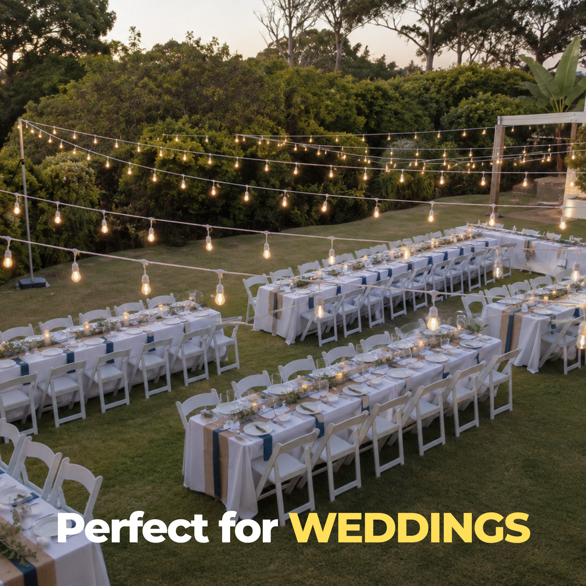 White Festoon Lights