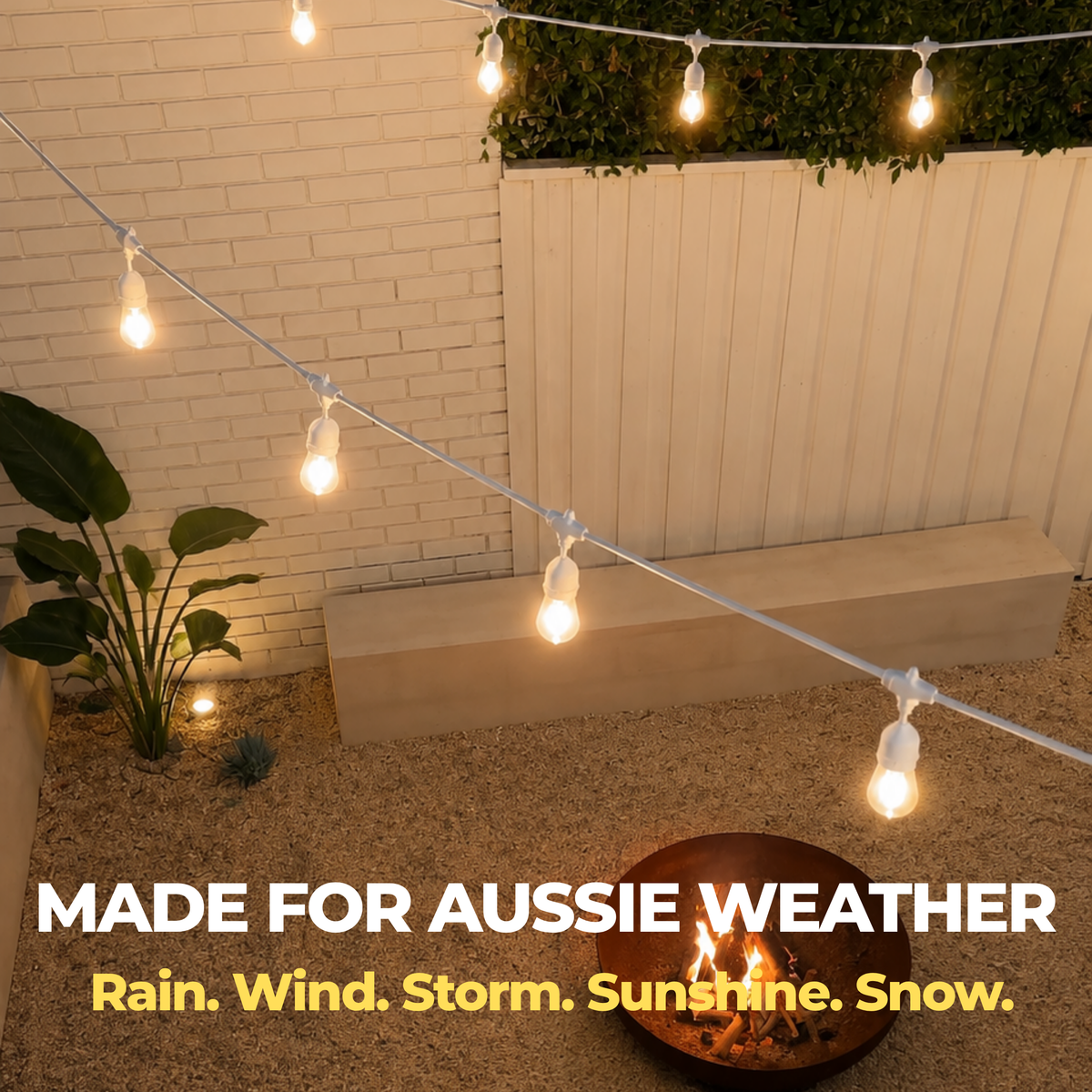White Festoon Lights