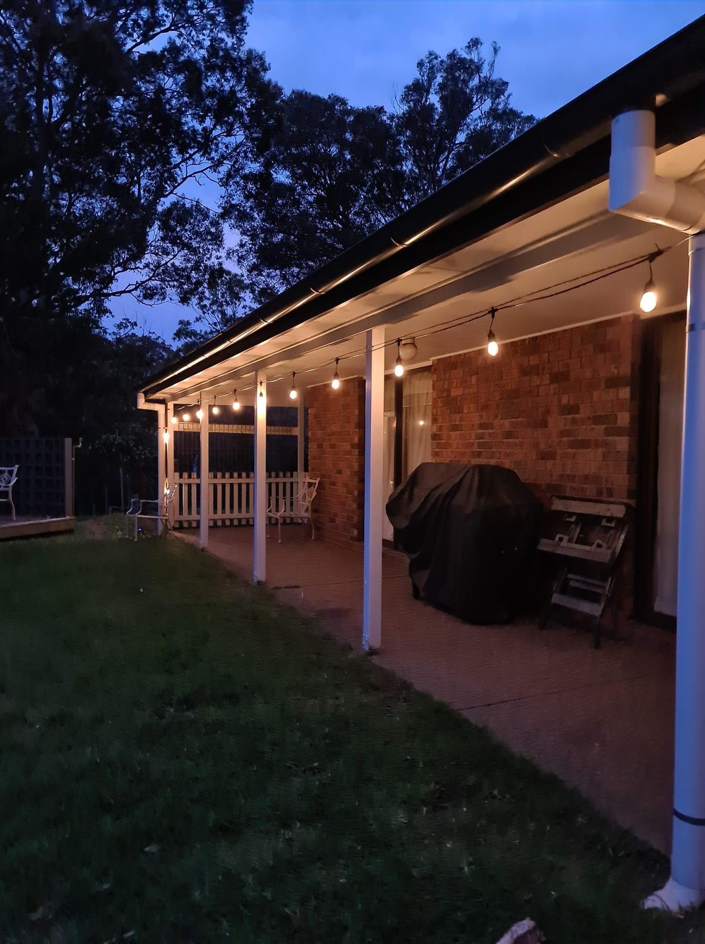 Hanging Festoon Lights