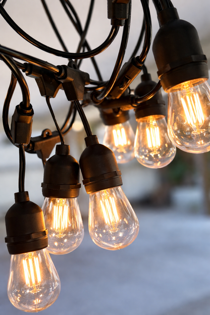 Hanging Festoon Lights