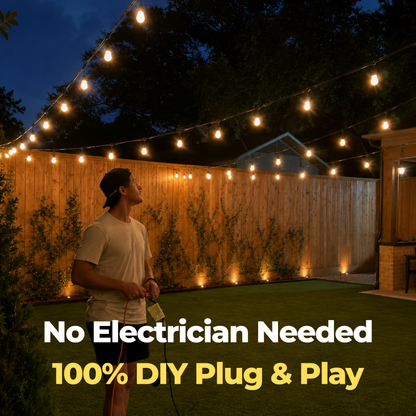 Black Festoon Lights