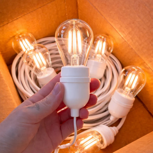 White Festoon Lights