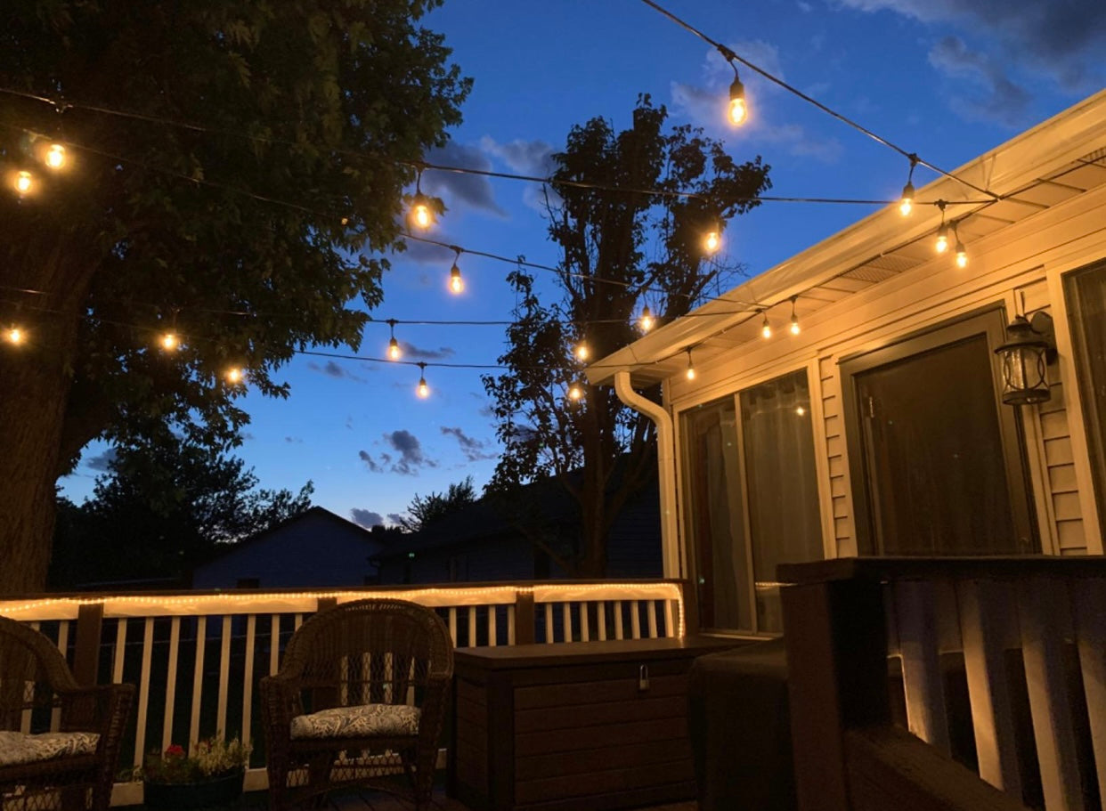 Hanging Festoon Lights