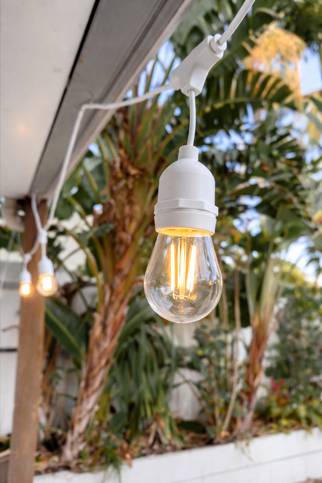 White Festoon Lights