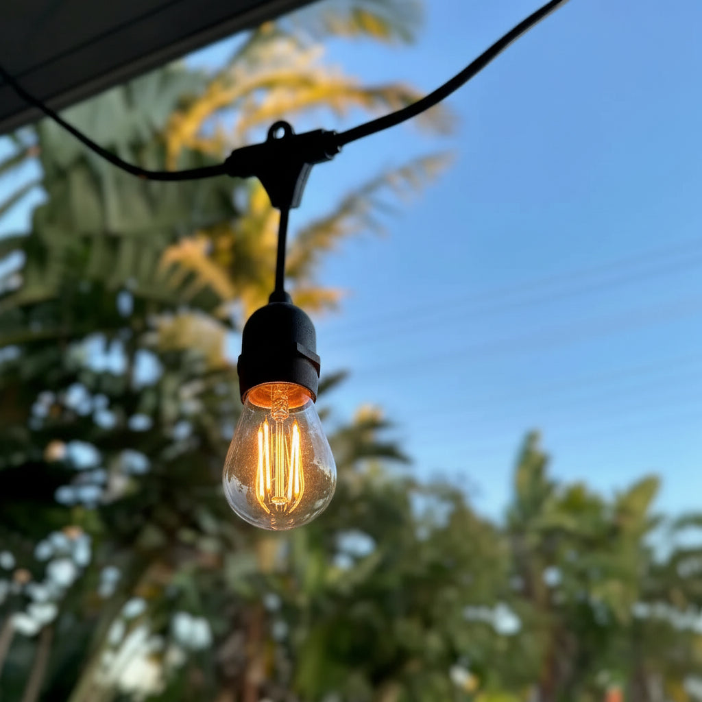 Hanging Festoon Lights