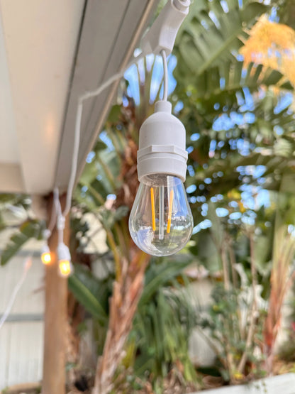 Hanging Festoon Lights